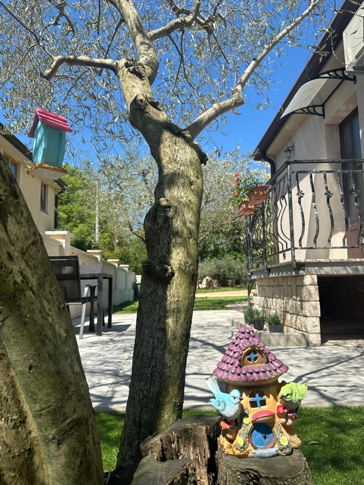 Apartment Nina With Private Pool Nova Vas  Екстериор снимка
